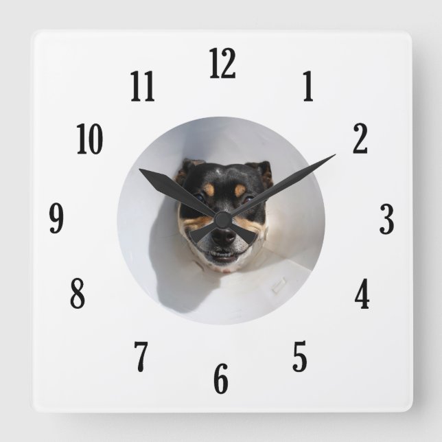 Reloj divertido para perros sonrientes (Anverso)