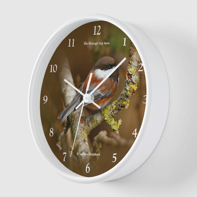 Reloj El pájaro del pollo con el respaldo de castañas en (Ángulo)