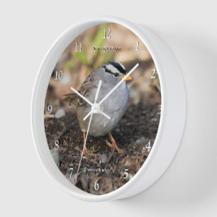 Reloj El pájaro gorrión blanco en invierno