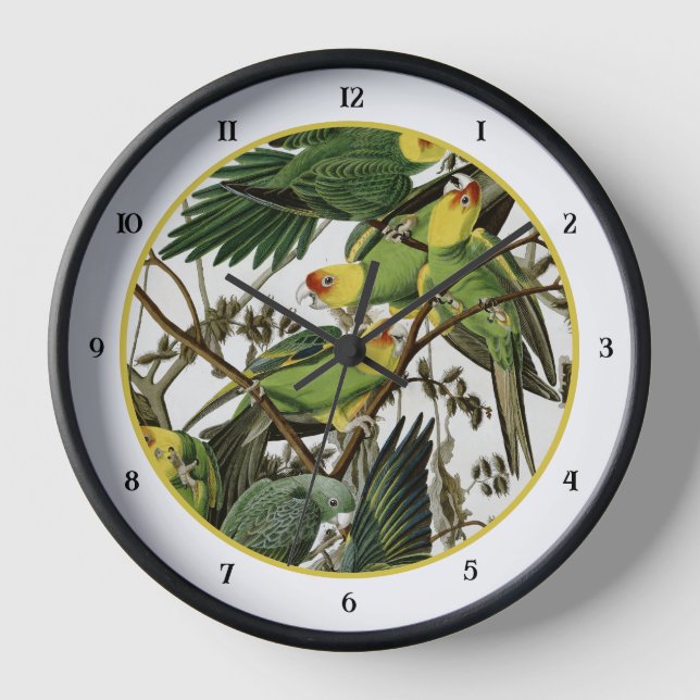 Reloj El paracaídas de Carolina de Audubon (Anverso)