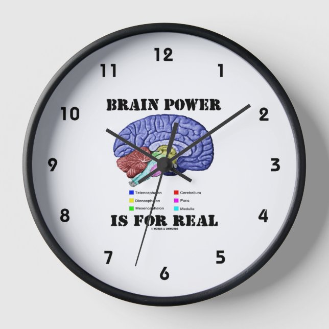 Reloj El Poder del Cerebro es Real Anatomía del Cerebro  (Anverso)