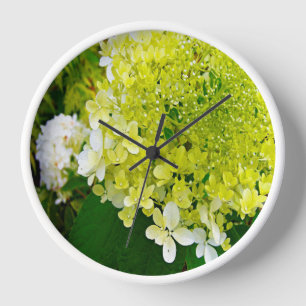 Reloj Elegante Chartreuse Green Limelight Hydrangea
