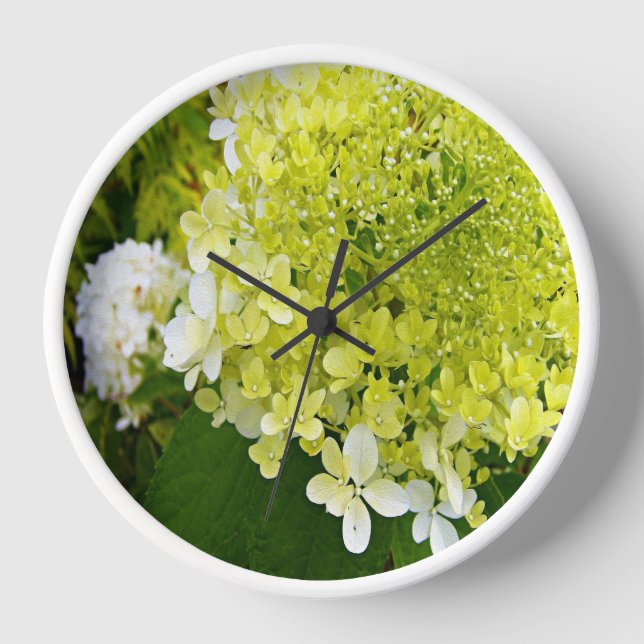 Reloj Elegante Chartreuse Green Limelight Hydrangea (Anverso)