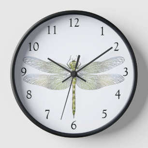 Reloj Elegante dibujo de líneas de Dragonfly suave
