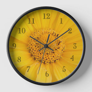 Reloj Feliz pequeño girasol