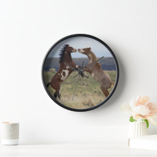 Reloj Fighting Stallions, Steens Mountains, Oregon