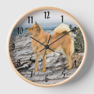 Reloj Finnish Spitz en la orilla del mar Pintura - Arte 
