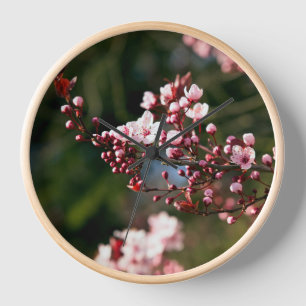Reloj Flor de color rosa en la cálida luz del verano