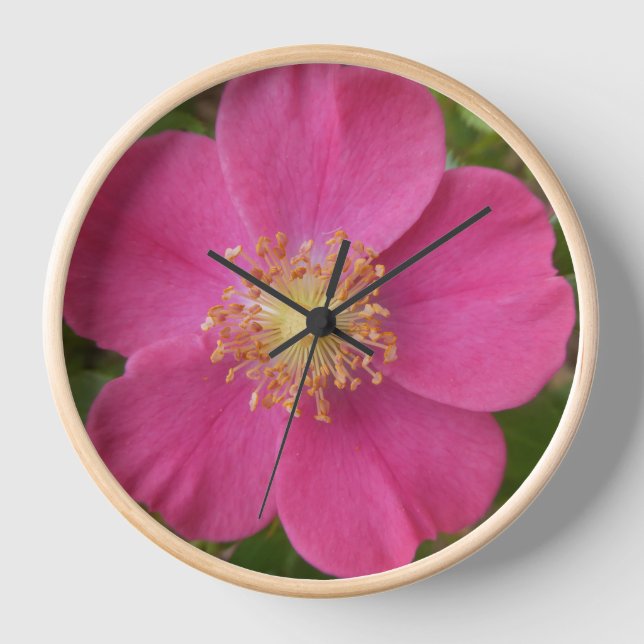 Reloj Flor rosa rosa brillante de flores de pared (Anverso)