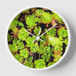 Reloj Flores verdes exitosas