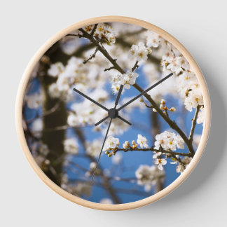 Reloj Fondo de cielo azul Flor blanca