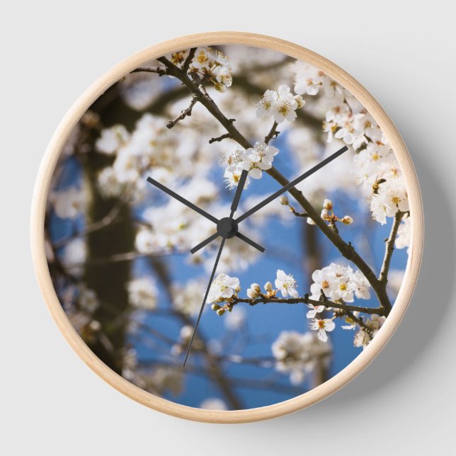 Reloj Fondo de cielo azul Flor blanca (Anverso)
