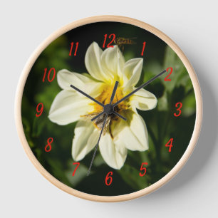 Reloj Foto de abejorros y dahlia blanca