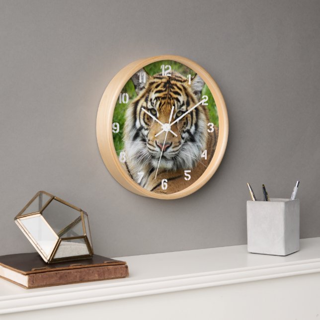 Reloj Foto del tigre del gato grande de Sumatra (Oficina)