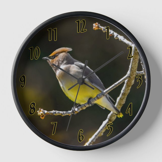 Reloj Foto Original de Ave Silvestre Bombycilla Cedrorum (Anverso)