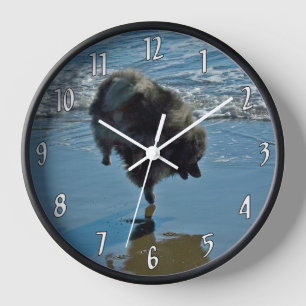 Reloj Fotografía de Ballet Keeshond - Arte Original de P
