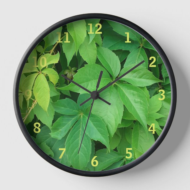Reloj Fotografía de Green Virginia Creeper Foliage (Anverso)