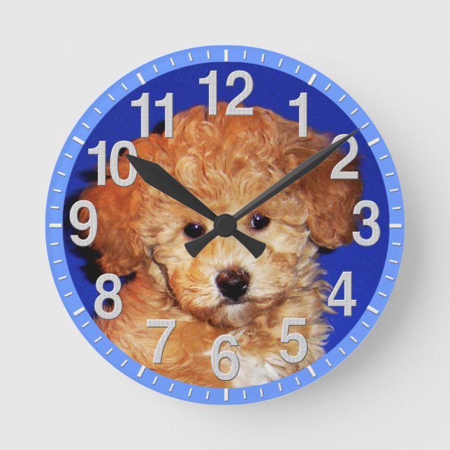 Reloj fotográfico de su Mascota o manténgase el re (Anverso)