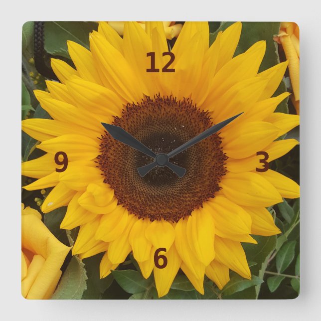 Reloj fotográfico floral de flor de girasol (Anverso)