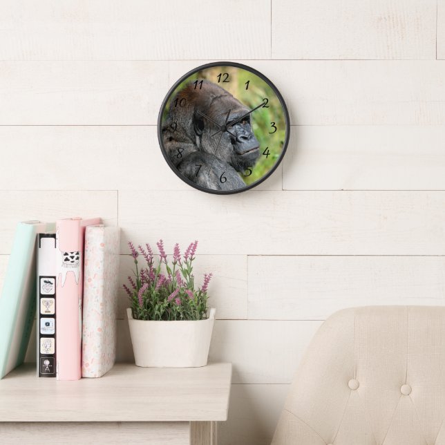 Reloj Gorila adulto (Sala de lectura)