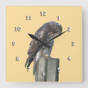 Reloj - Halcón en Post