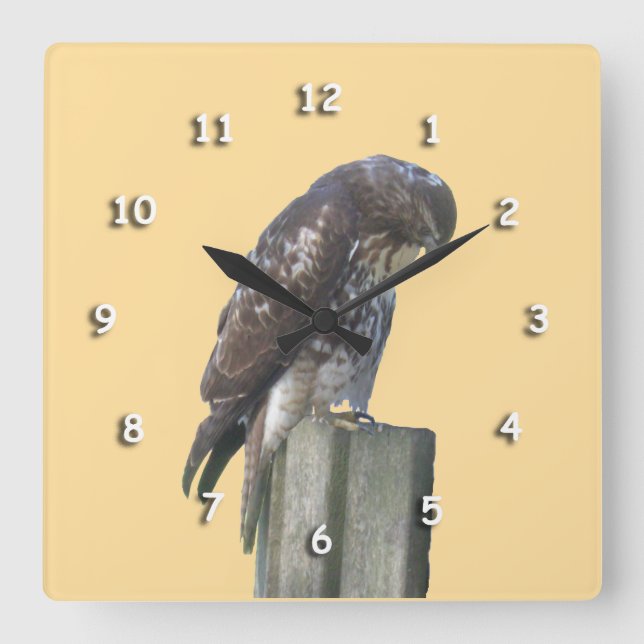 Reloj - Halcón en Post (Anverso)