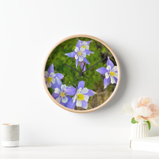 Reloj Hermosas flores de columbina en azul, amarillo, vi (Hogar)