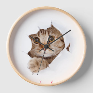 reloj hermoso y otro producto.