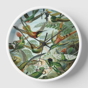 Reloj Hummingbirds - Ernst Haeckel