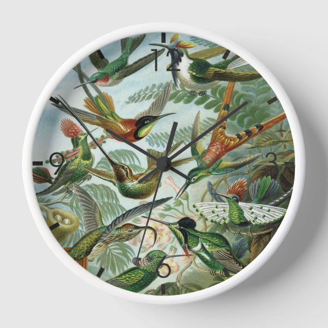 Reloj Hummingbirds - Ernst Haeckel (Anverso)