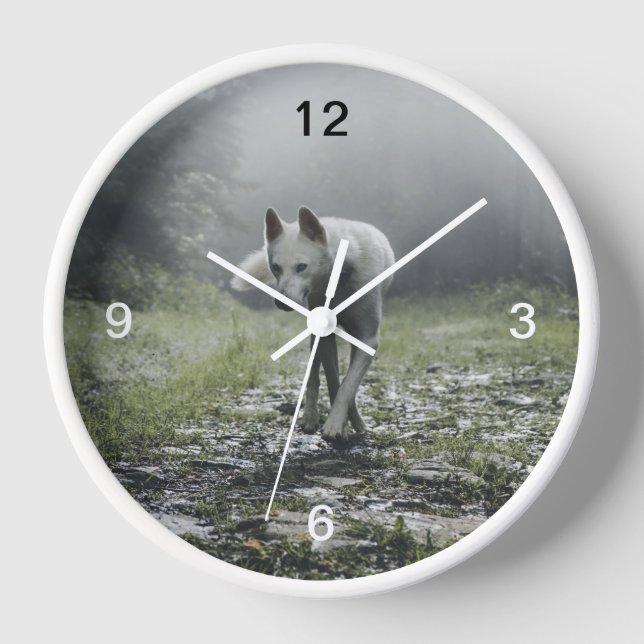 Reloj Husky Siberiano Blanco (Anverso)