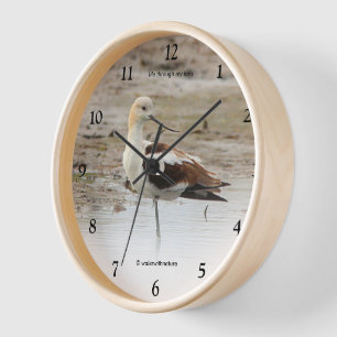 Reloj Impresionante ave americano aguacate Wading en la