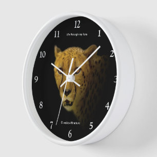 Reloj Intercambio de miradas con un gato chita magnífico