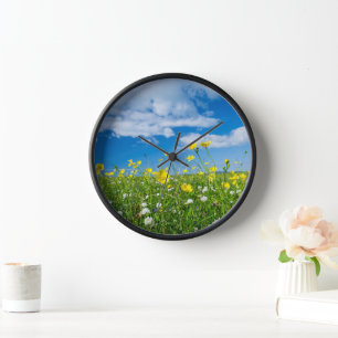 Reloj isla de Sudamérica   Escocia