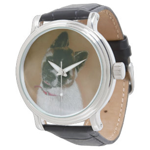 Reloj japonés/americano de cachorro lindo con cach