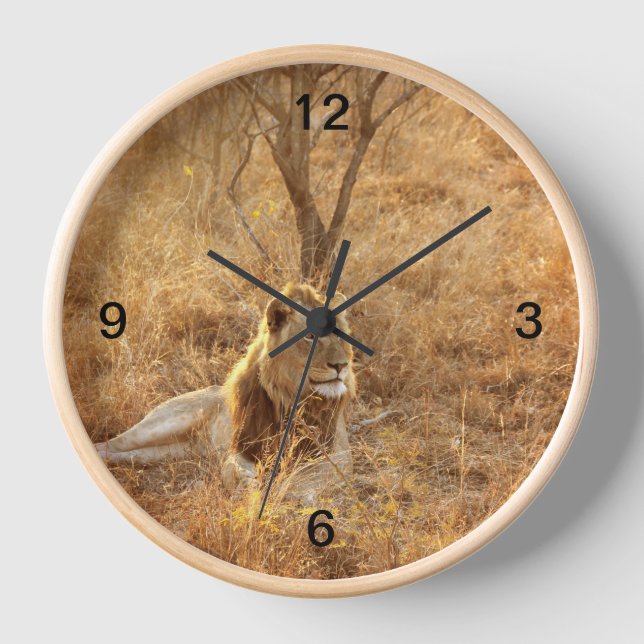 Reloj León (Anverso)