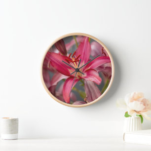 Reloj Lirio Asiático Rosa, Fotografía de Flores