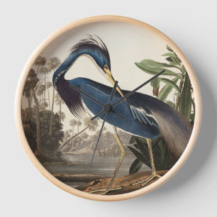 Reloj Louisiana Heron por Audobon Wall Clock