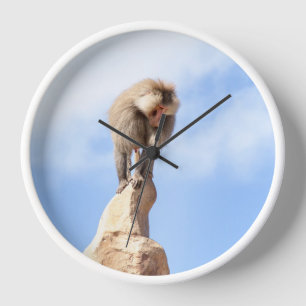 Reloj Mandríl majestuoso en la cima de la montaña