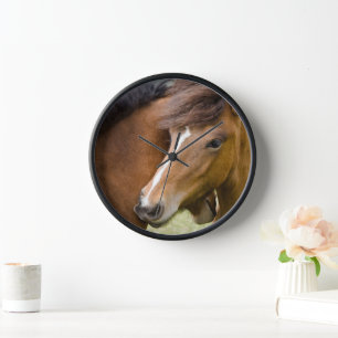 Reloj Mare Y Colt