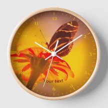 Mariposa cebra con flor de Tithonia