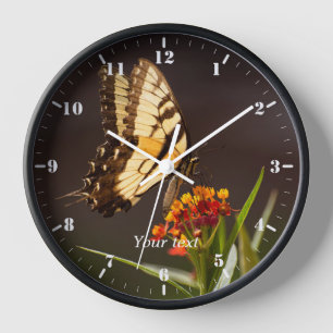 Reloj Mariposa de cola cruda sobre la flor de hierba de 