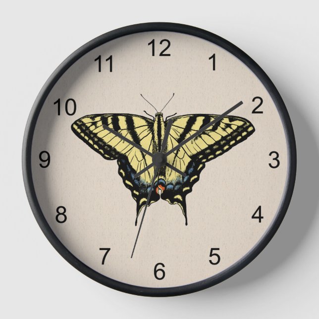 Reloj Mariposa de cola de cerda amarilla del suroeste (Anverso)