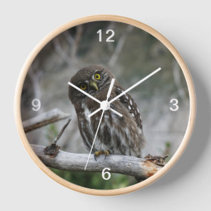 Reloj Mochuelo Norteño