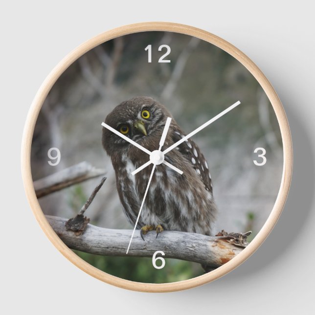 Reloj Mochuelo Norteño (Anverso)