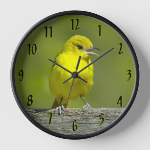 Reloj Orchard Oriole - Foto original
