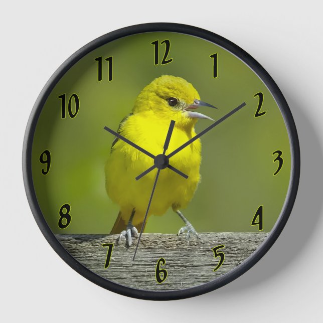 Reloj Orchard Oriole - Foto original (Anverso)