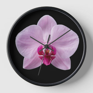 Reloj Orquídea sobre fondo negro