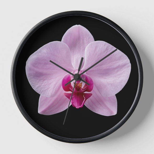 Reloj Orquídea sobre fondo negro (Anverso)