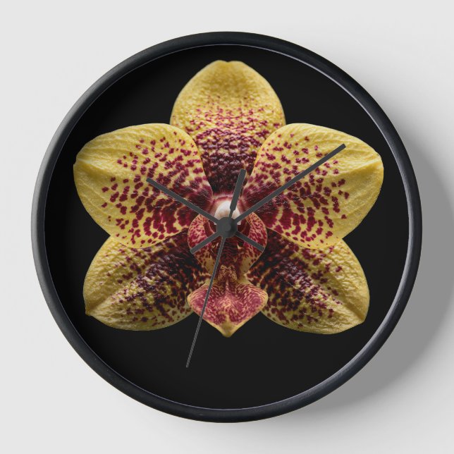 Reloj Orquídea sobre fondo negro (Anverso)